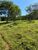 Fazenda, 21217 hectares - Foto 4