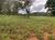 Fazenda, 21217 hectares - Foto 2