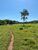 Fazenda, 21217 hectares - Foto 1