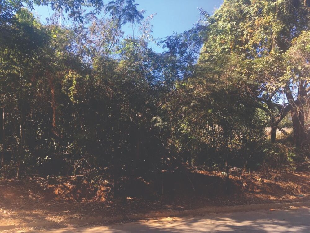 Terreno à venda, 4600m² - Foto 4