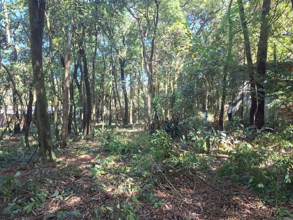 Terreno - Foto 17