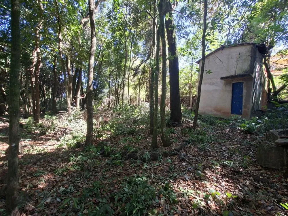 Terreno - Foto 1