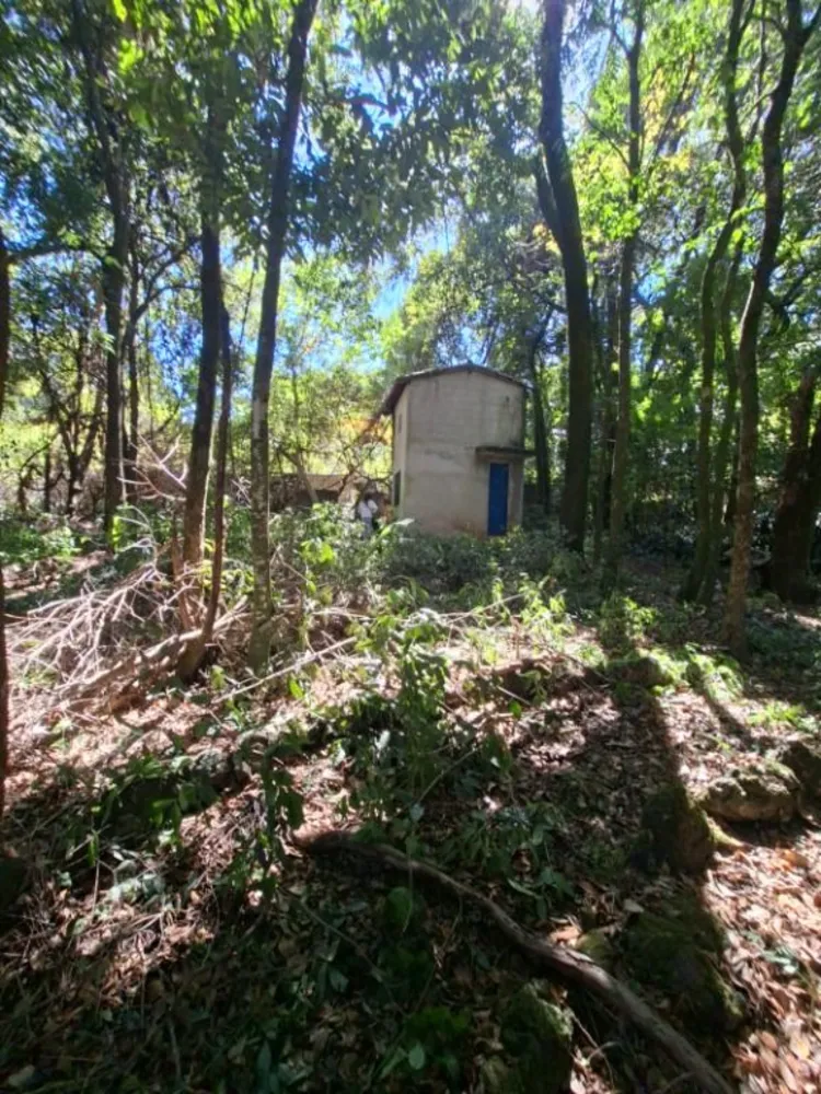 Terreno - Foto 5