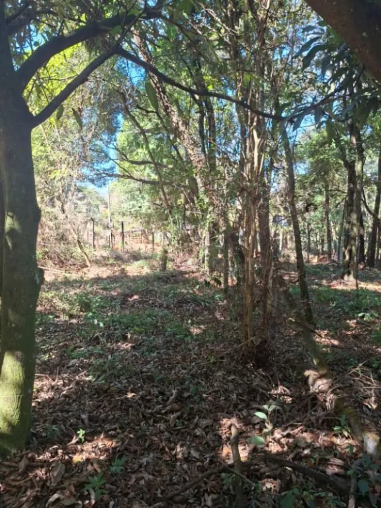 Terreno - Foto 12