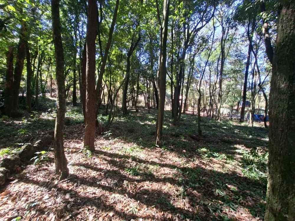 Terreno - Foto 6