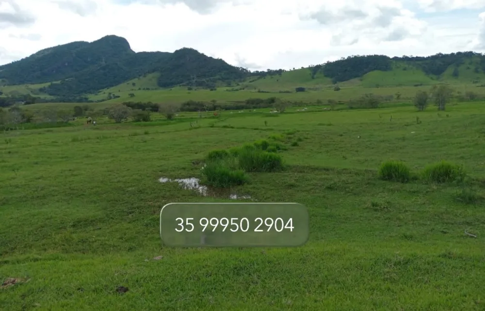 Fazenda, 197 hectares - Foto 4