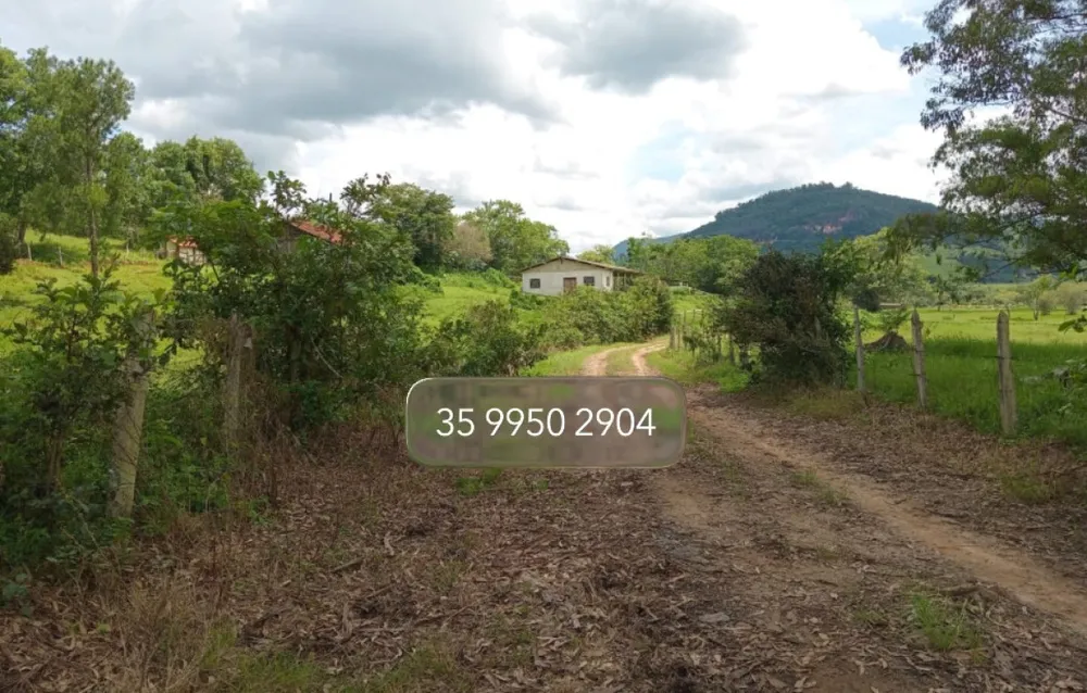 Fazenda, 197 hectares - Foto 10