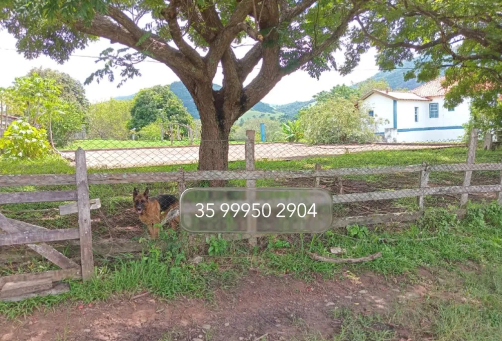 Fazenda, 197 hectares - Foto 15