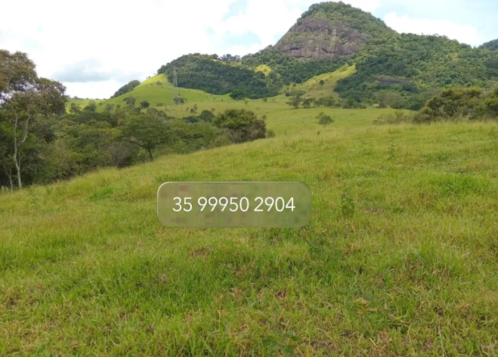 Fazenda, 197 hectares - Foto 3