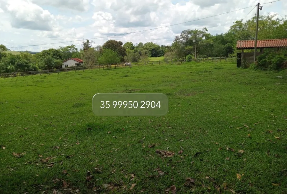 Fazenda, 197 hectares - Foto 7