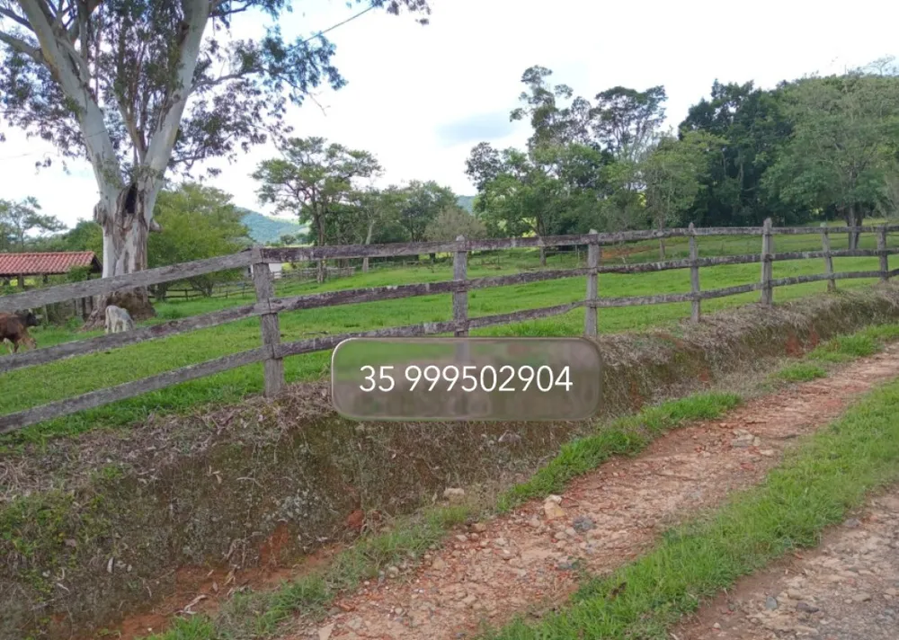 Fazenda, 197 hectares - Foto 12