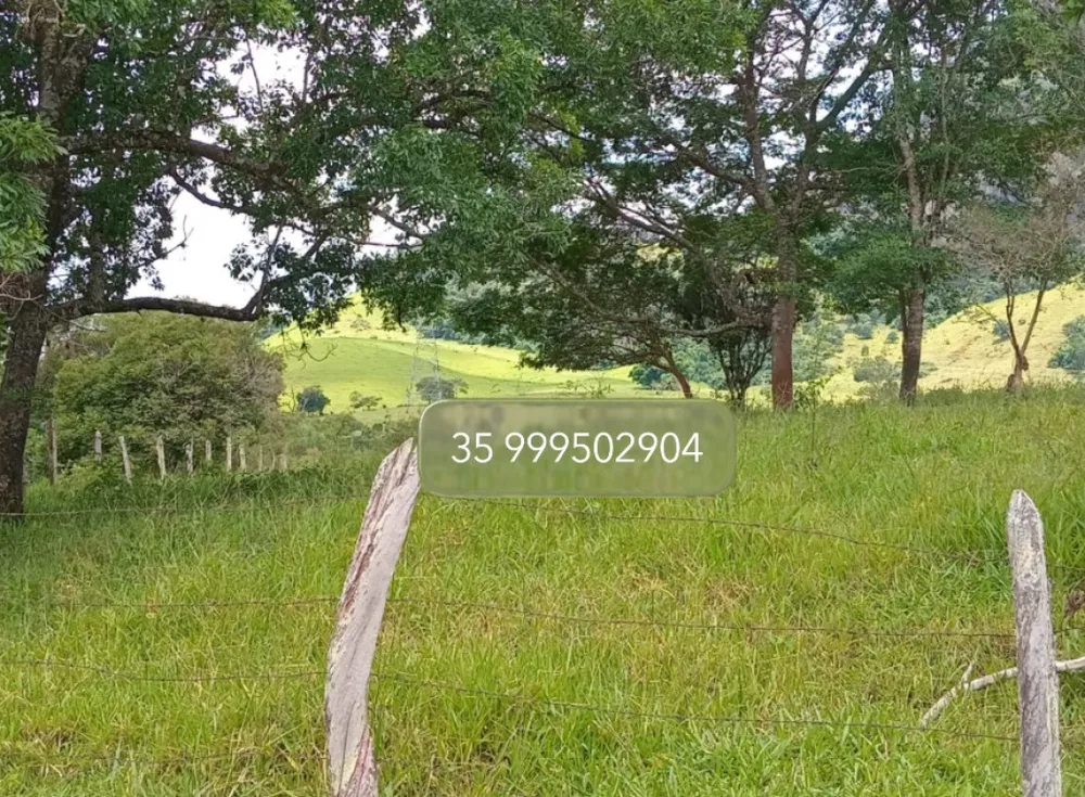 Fazenda, 197 hectares - Foto 8