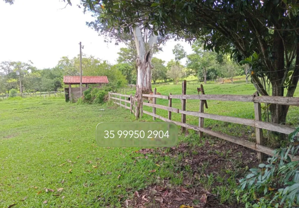 Fazenda, 197 hectares - Foto 16