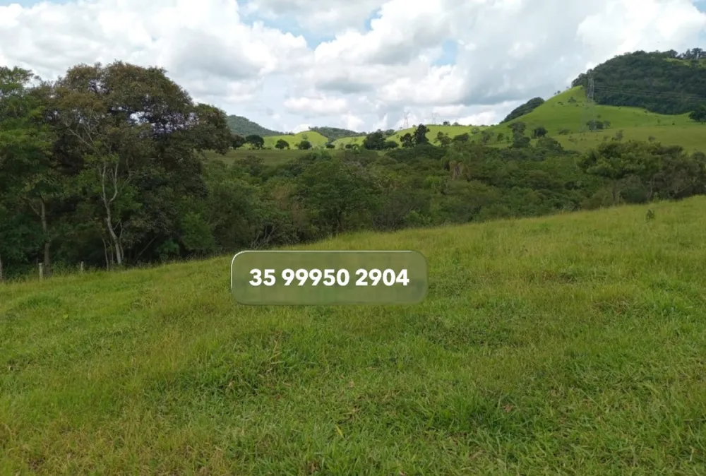Fazenda, 197 hectares - Foto 1