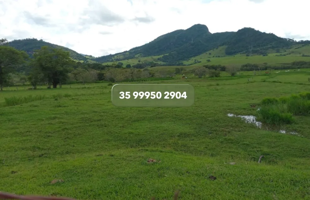 Fazenda, 197 hectares - Foto 2