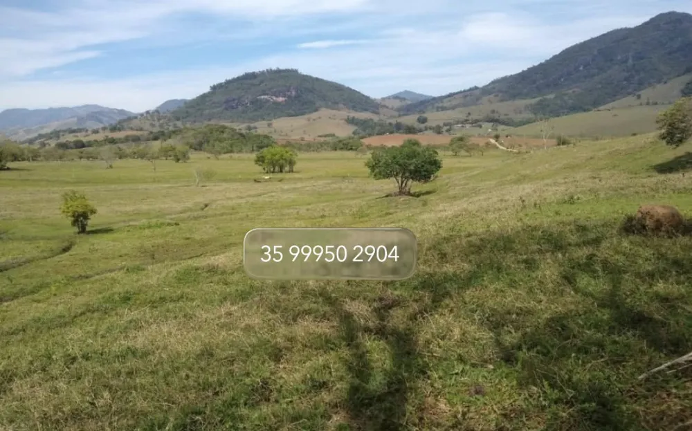 Fazenda, 197 hectares - Foto 9