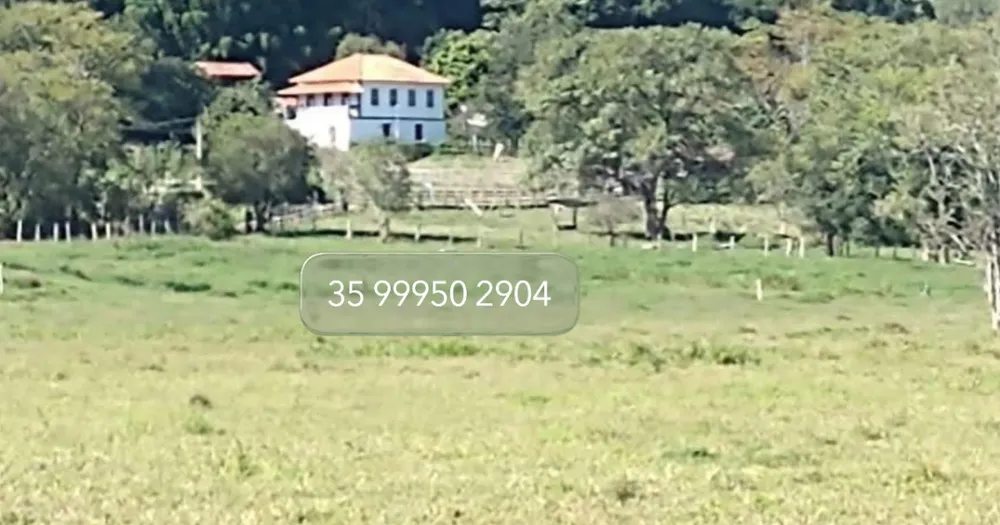 Fazenda, 197 hectares - Foto 19