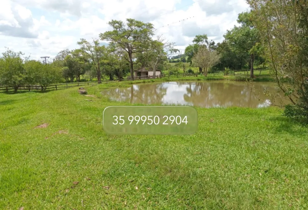 Fazenda, 197 hectares - Foto 6