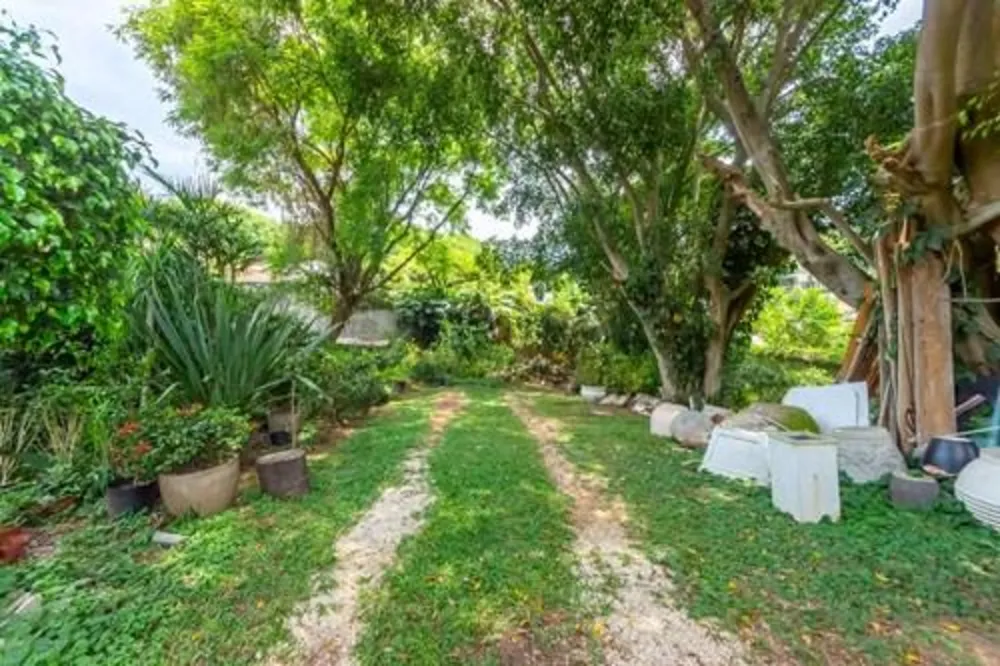 Terreno, 780 m² - Foto 4