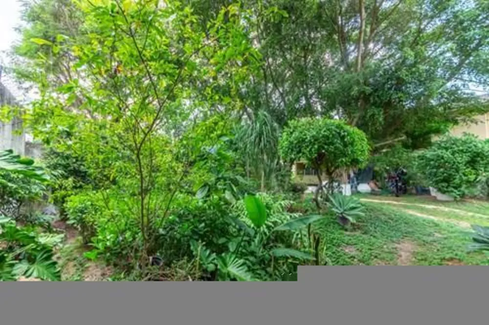 Terreno, 780 m² - Foto 3
