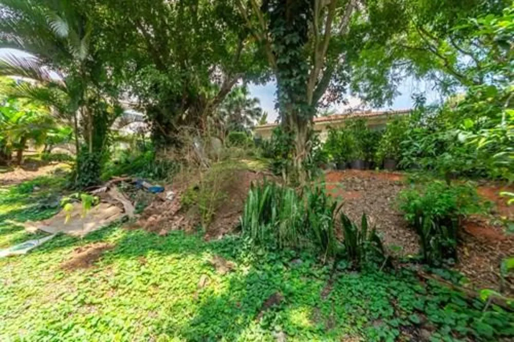 Terreno, 780 m² - Foto 11