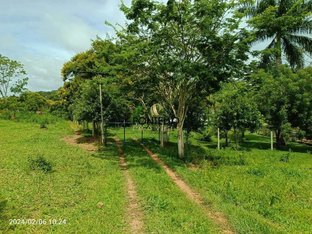Fazenda, 13 hectares - Foto 6