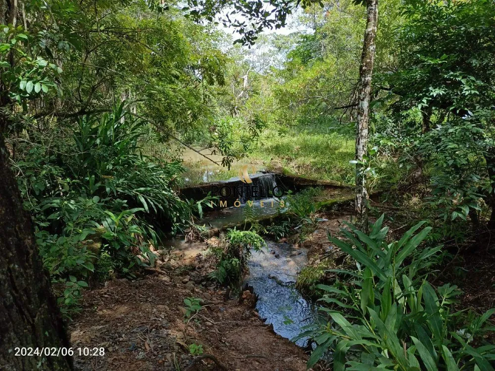 Fazenda, 13 hectares - Foto 8