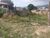 Terreno, 360 m² - Foto 2