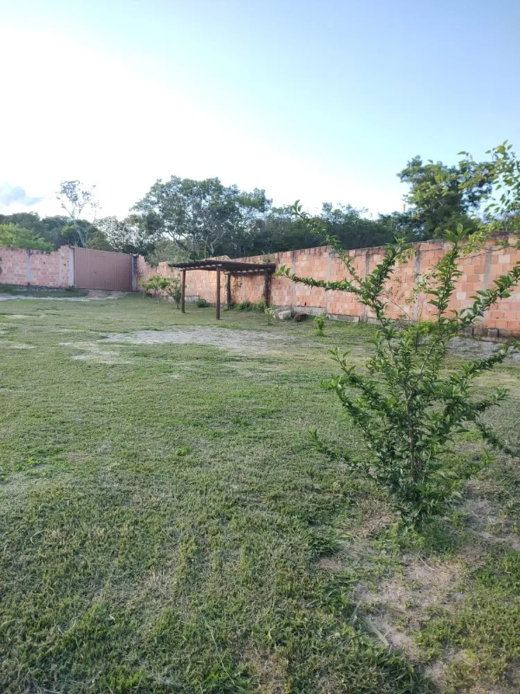 Chácara, 2 quartos, 2000 m² - Foto 8
