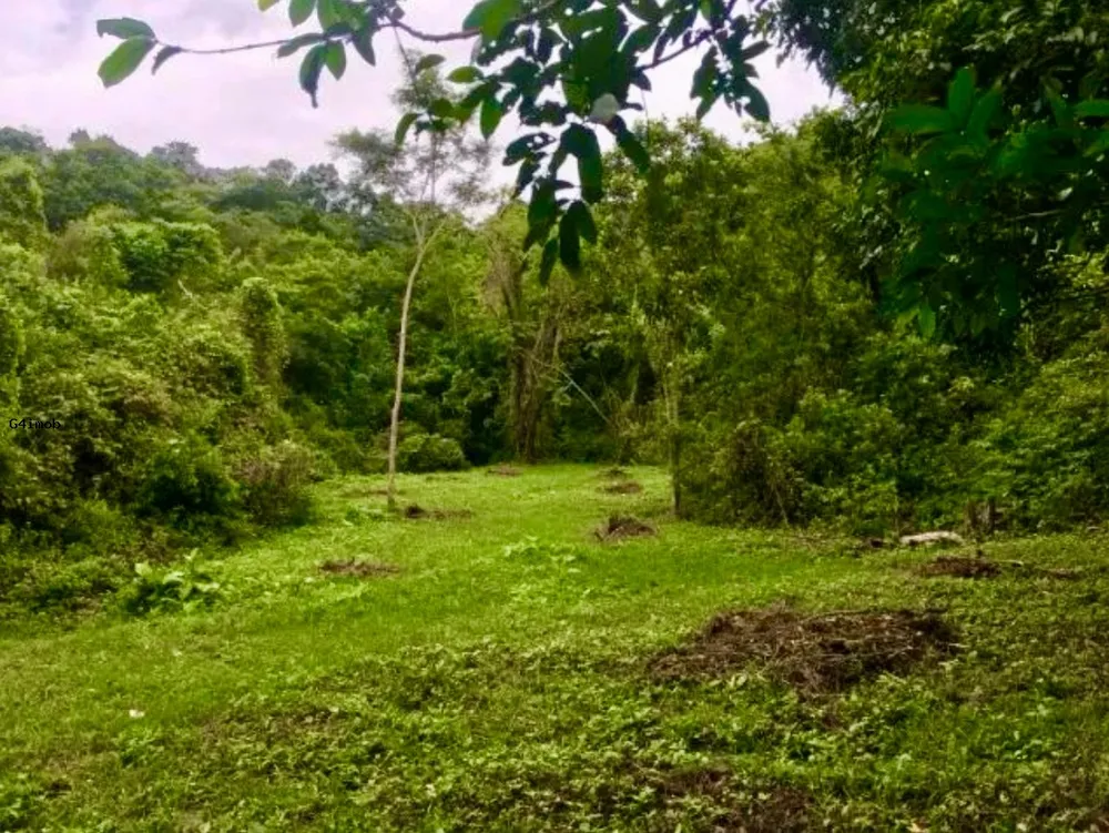 Chácara, 1 quarto, 5 hectares - Foto 12
