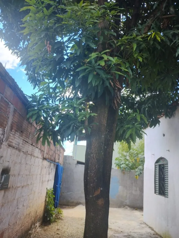 Casa, 2 quartos, 360 m² - Foto 10