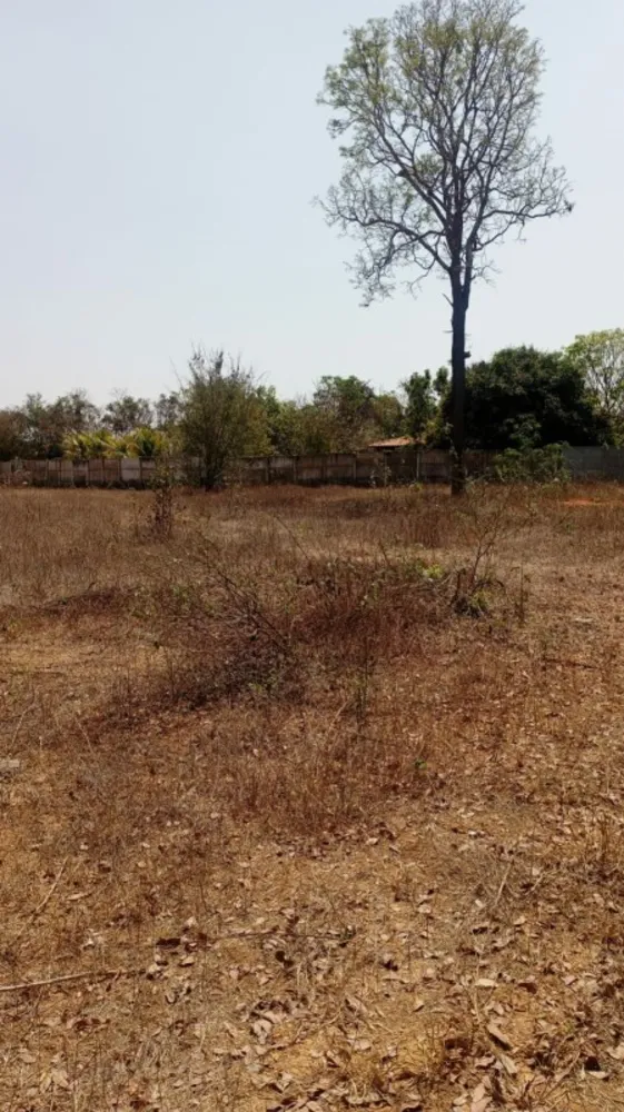Chácara, 3 quartos, 1 hectares - Foto 8
