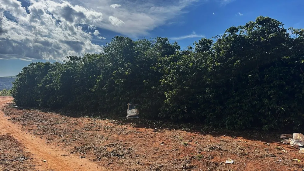 Fazenda, 99 hectares - Foto 12