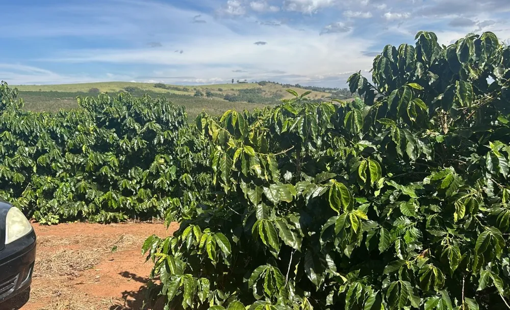 Fazenda, 99 hectares - Foto 6