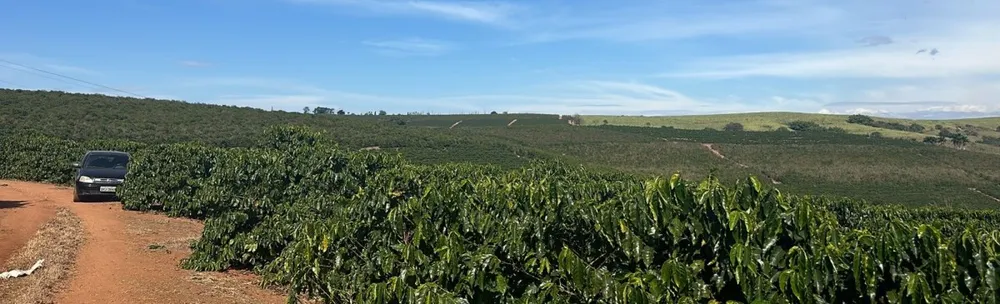 Fazenda, 99 hectares - Foto 4
