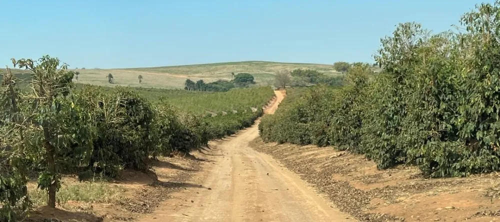 Fazenda, 99 hectares - Foto 18