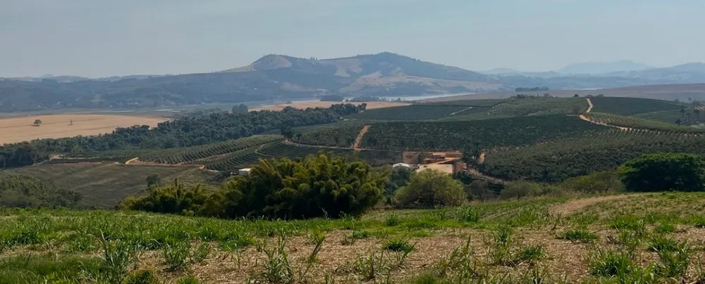 Fazenda, 99 hectares - Foto 14