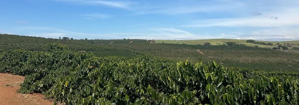 Fazenda, 102 hectares - Foto 14