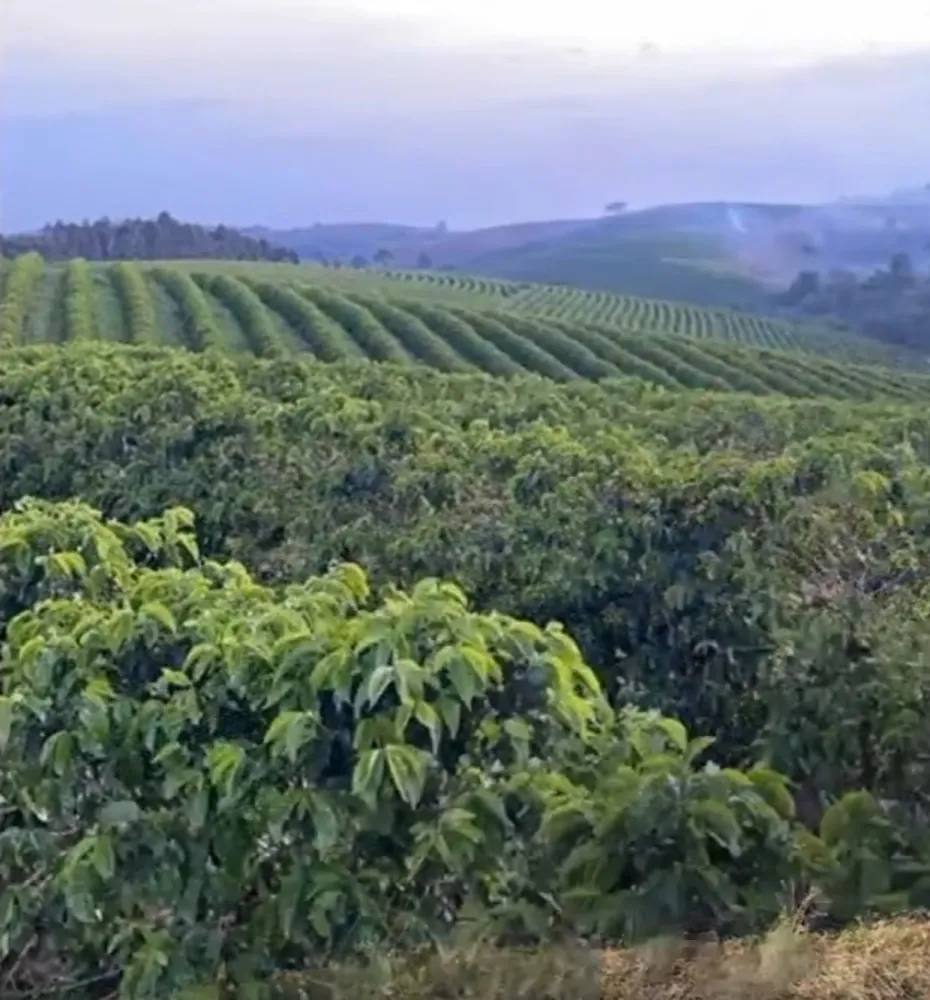 Fazenda, 3 quartos - Foto 6