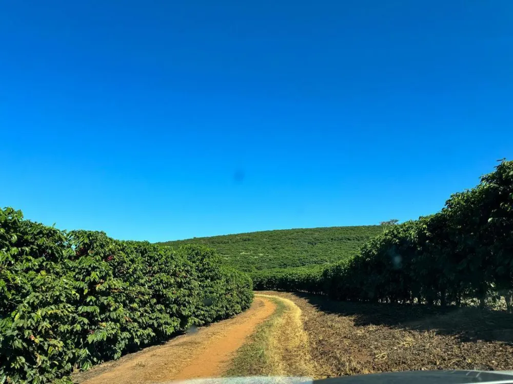 Fazenda, 3 quartos - Foto 19