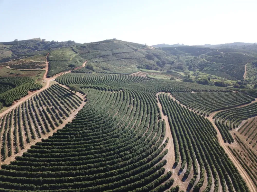 Fazenda, 3 quartos - Foto 5