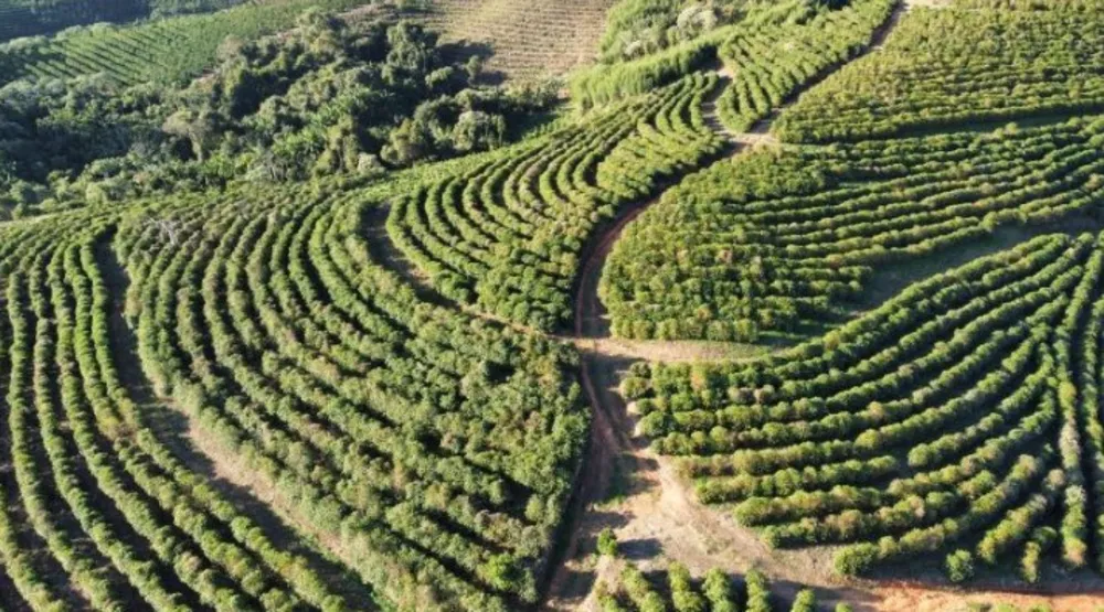 Fazenda, 3 quartos - Foto 5