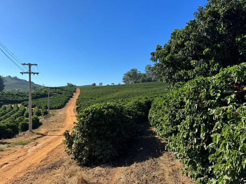 Fazenda, 3 quartos - Foto 9