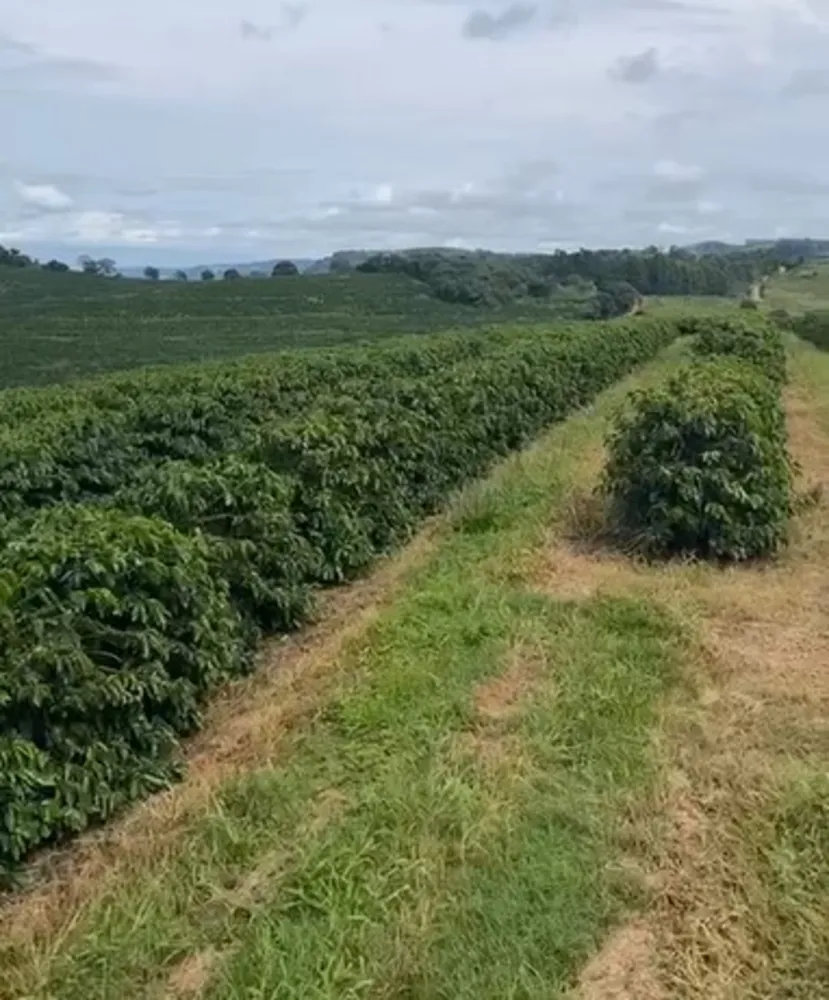 Fazenda, 3 quartos - Foto 11