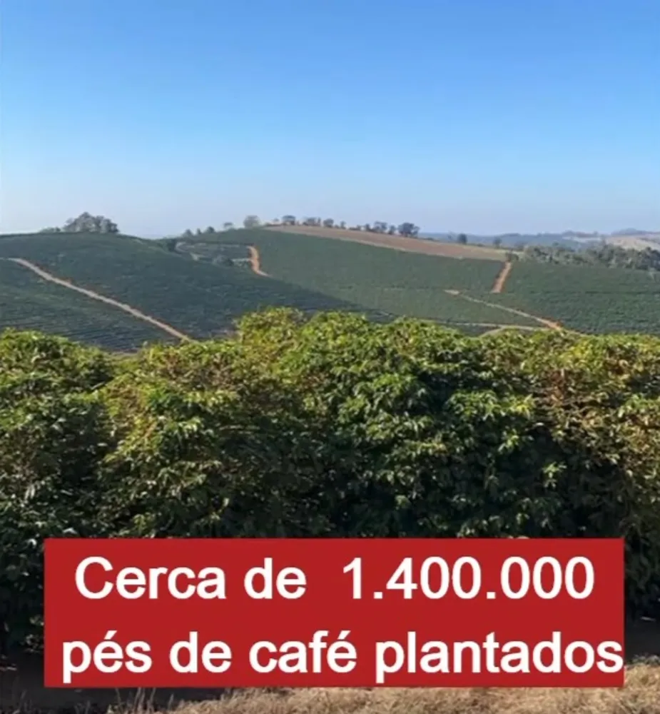 Fazenda, 3 quartos - Foto 1