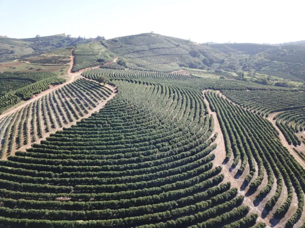 Fazenda, 3 quartos - Foto 8