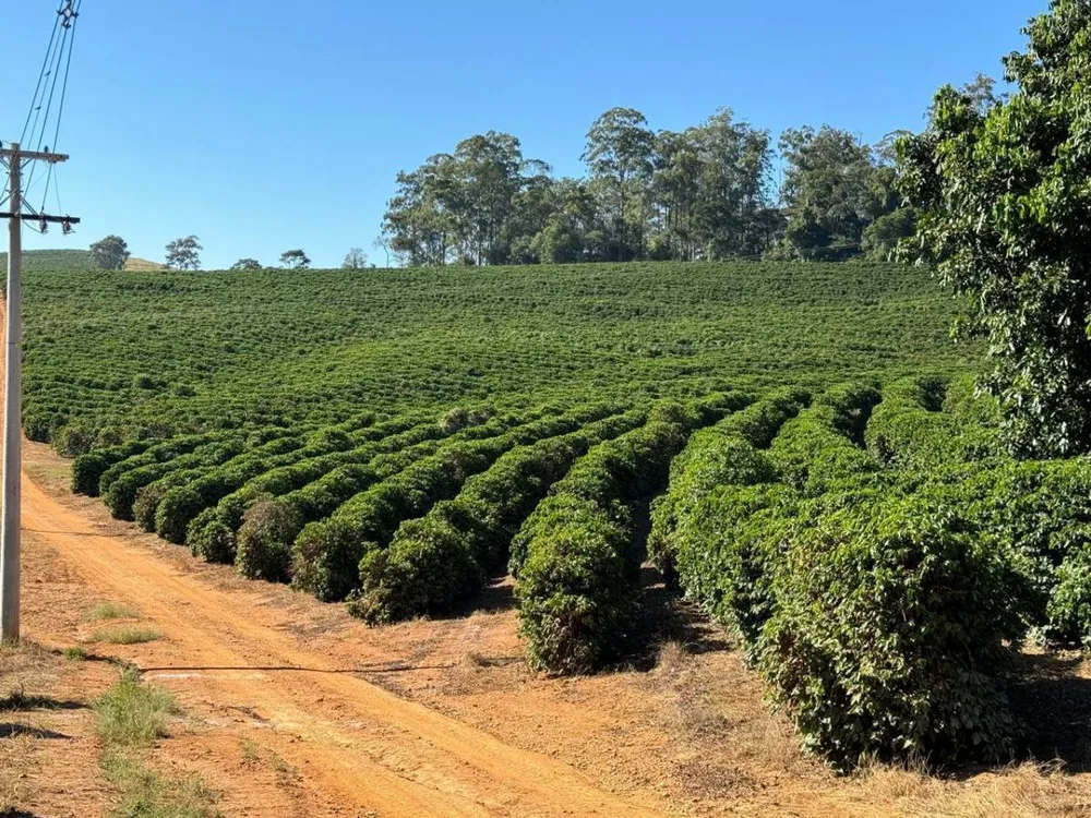 Fazenda, 3 quartos - Foto 3