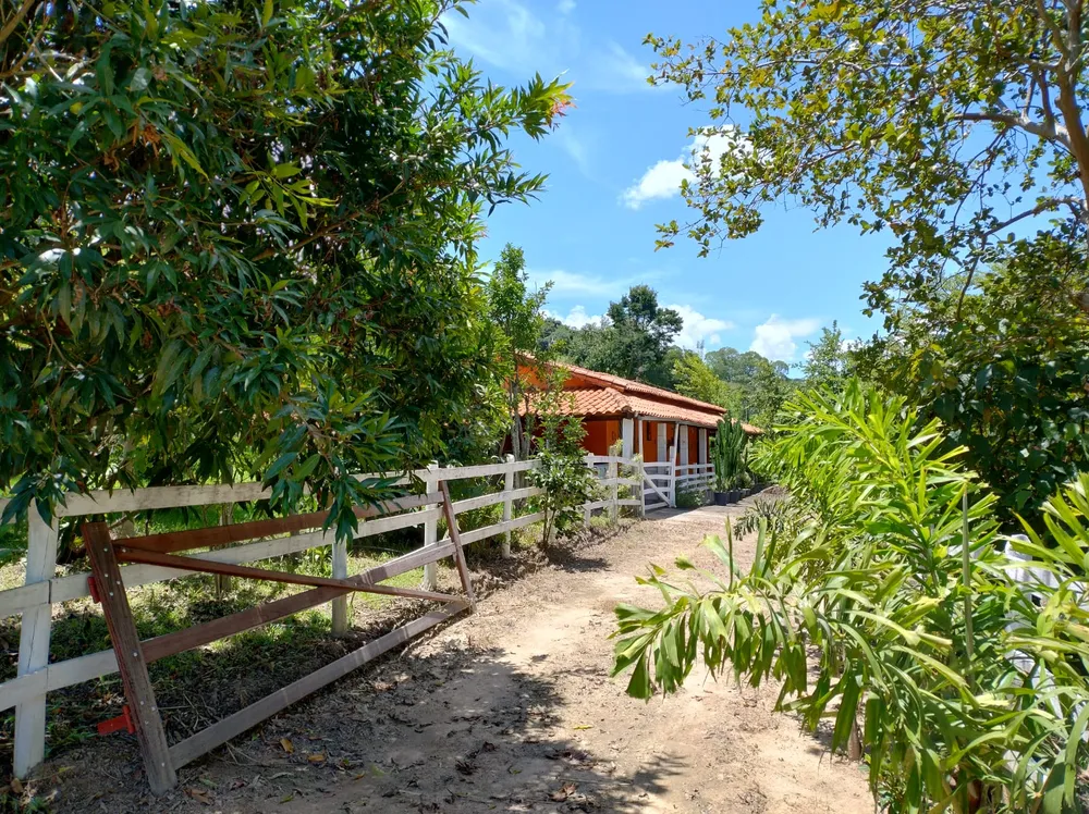 Chácara, 7 quartos, 6 hectares - Foto 4