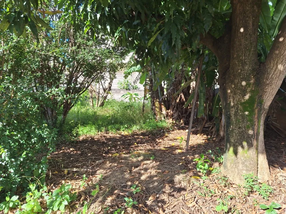 Terreno, 250 m² - Foto 3