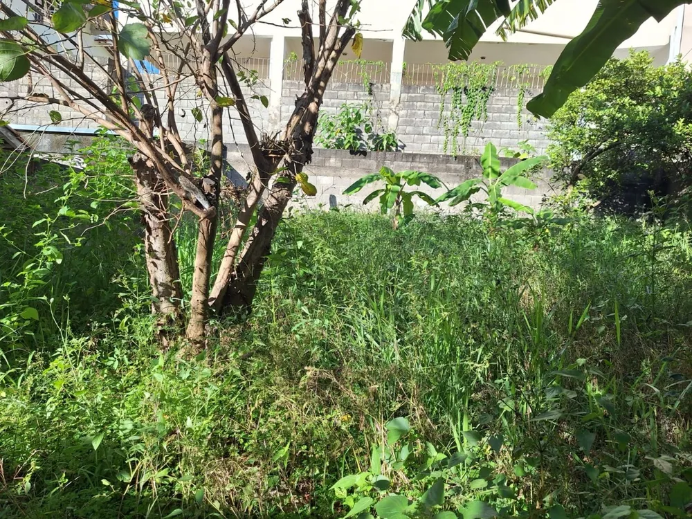 Terreno, 250 m² - Foto 5